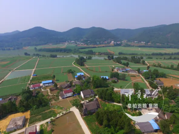 微信图片_20250803163505_463.webp