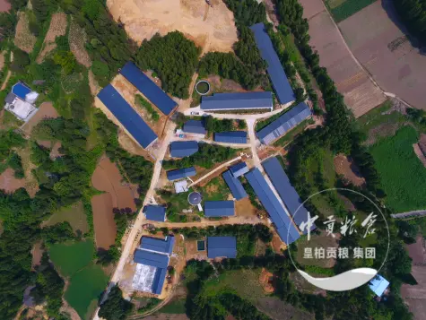 微信图片_20250803163505_461.webp