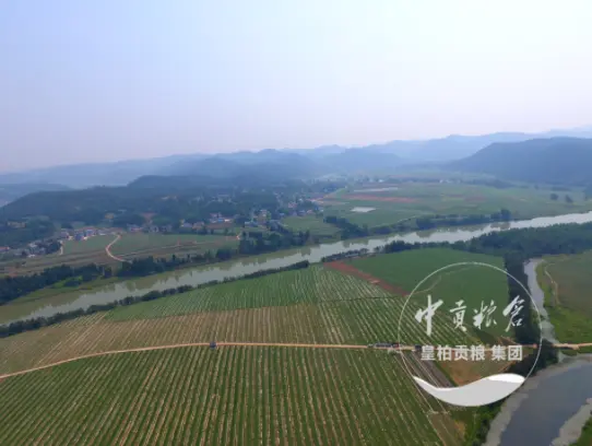 微信图片_20250803163505_462.webp