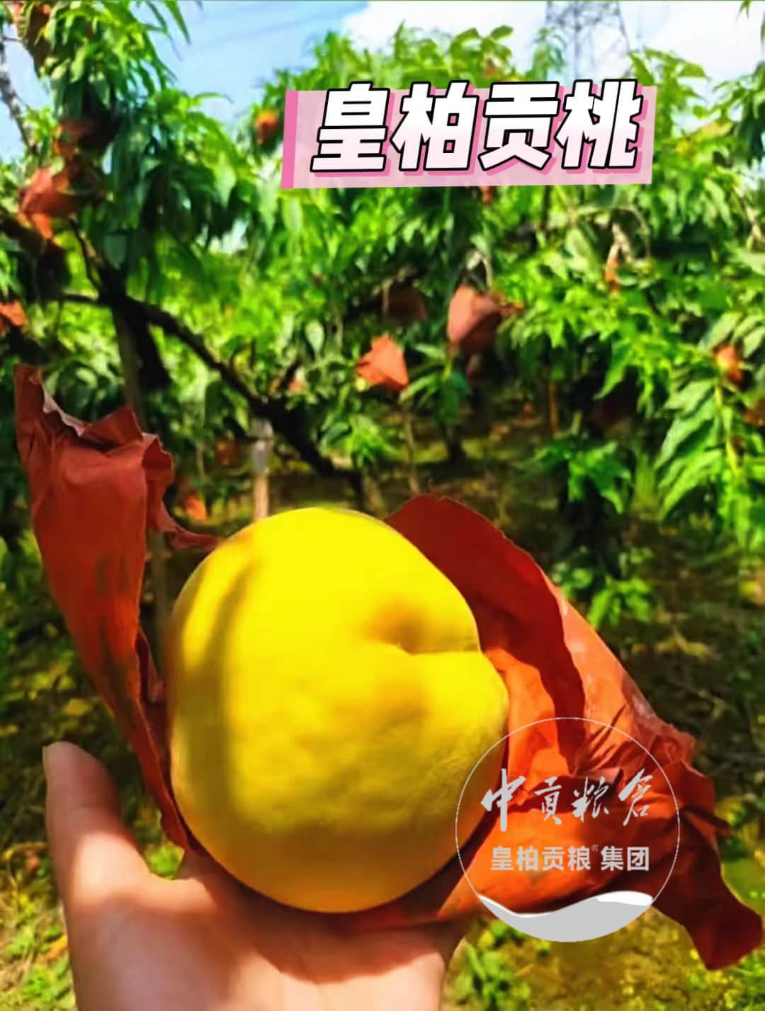 微信图片_20250901223427_523_9.jpg