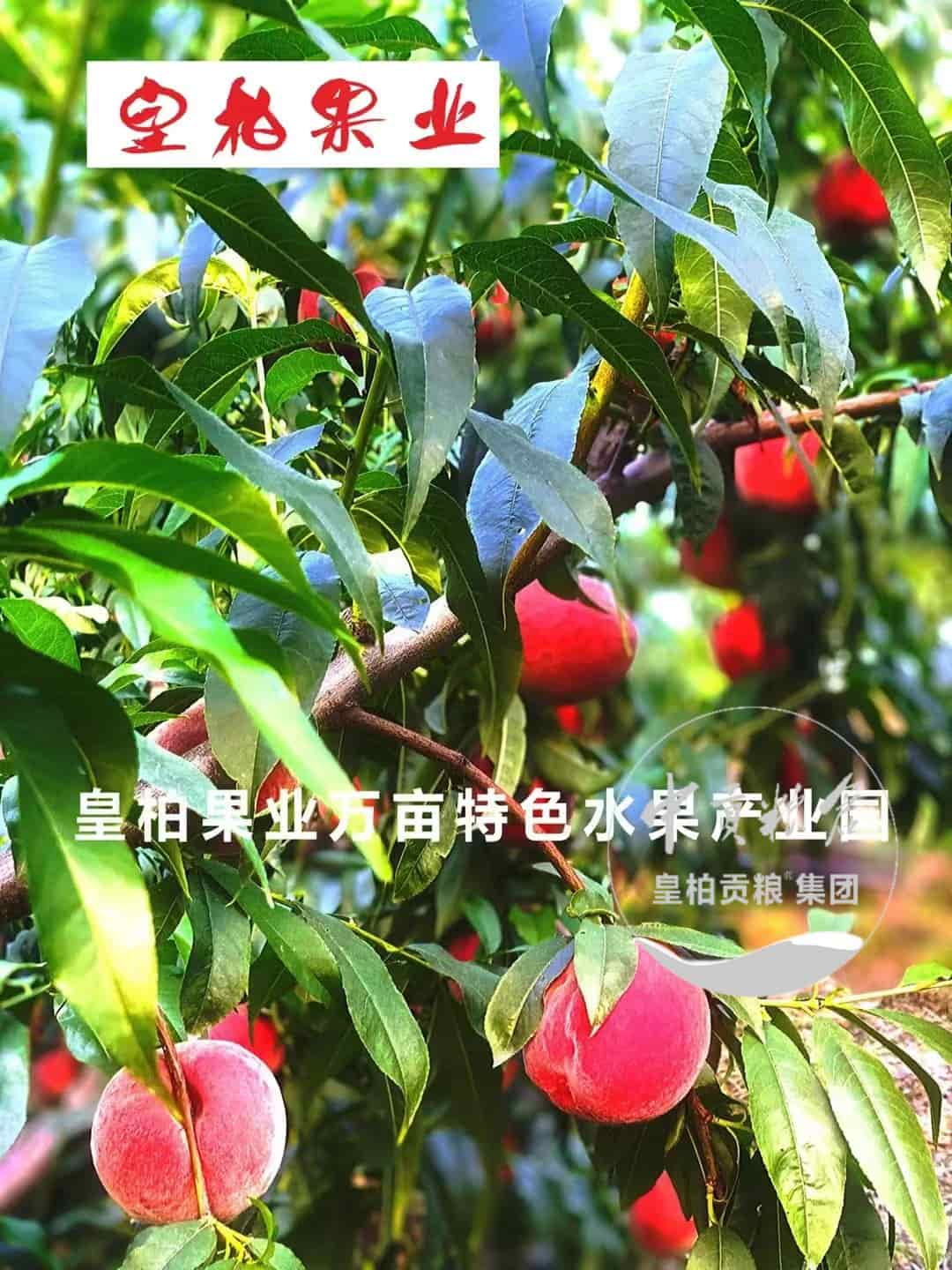 6de1b1944b1581460b7abf9a91e45de7.jpg