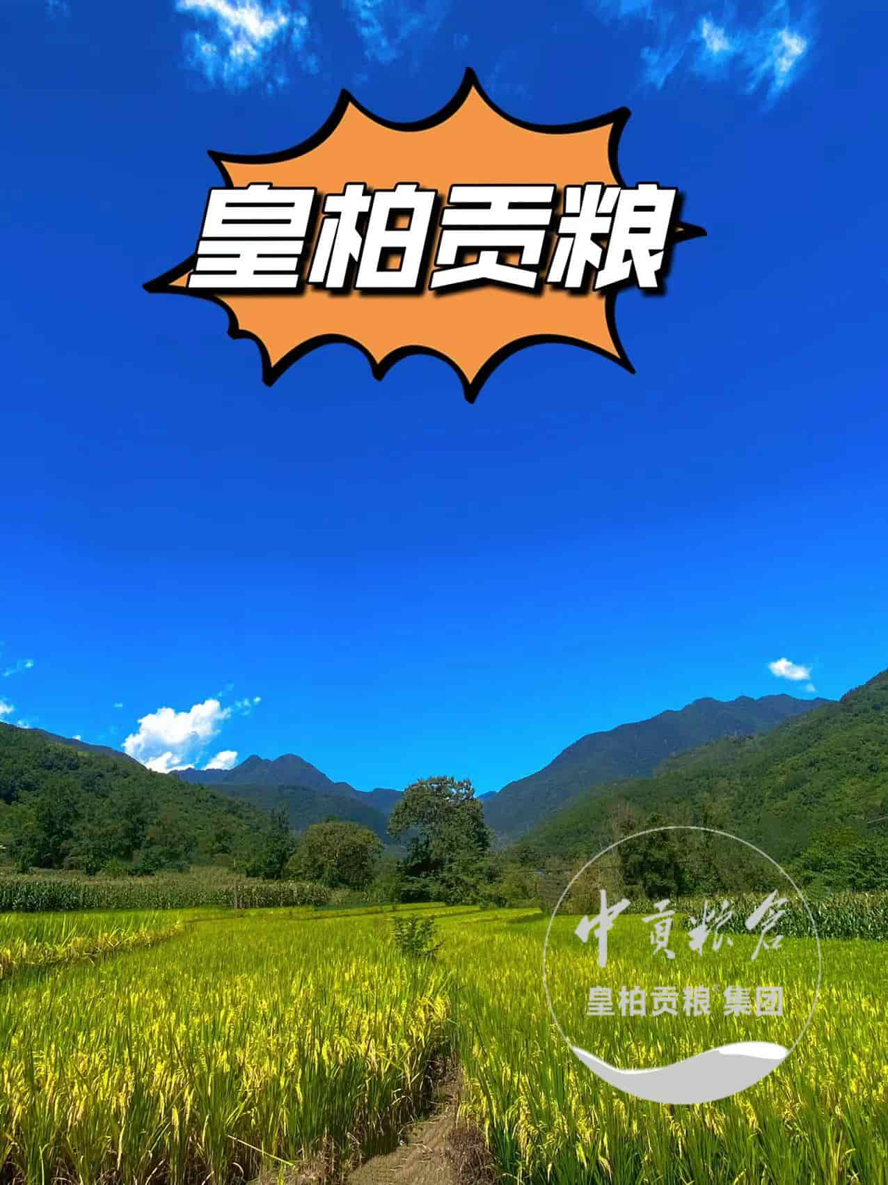 微信图片_20250903175212_543_9.jpg