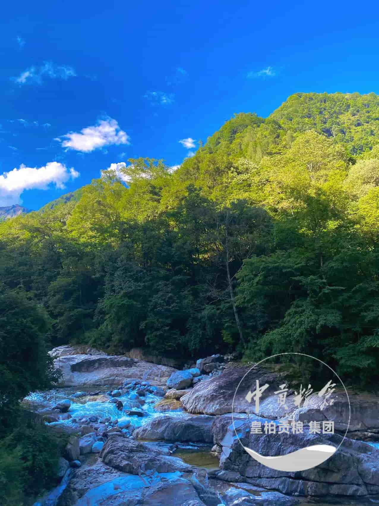 微信图片_20250903175208_541_9.jpg