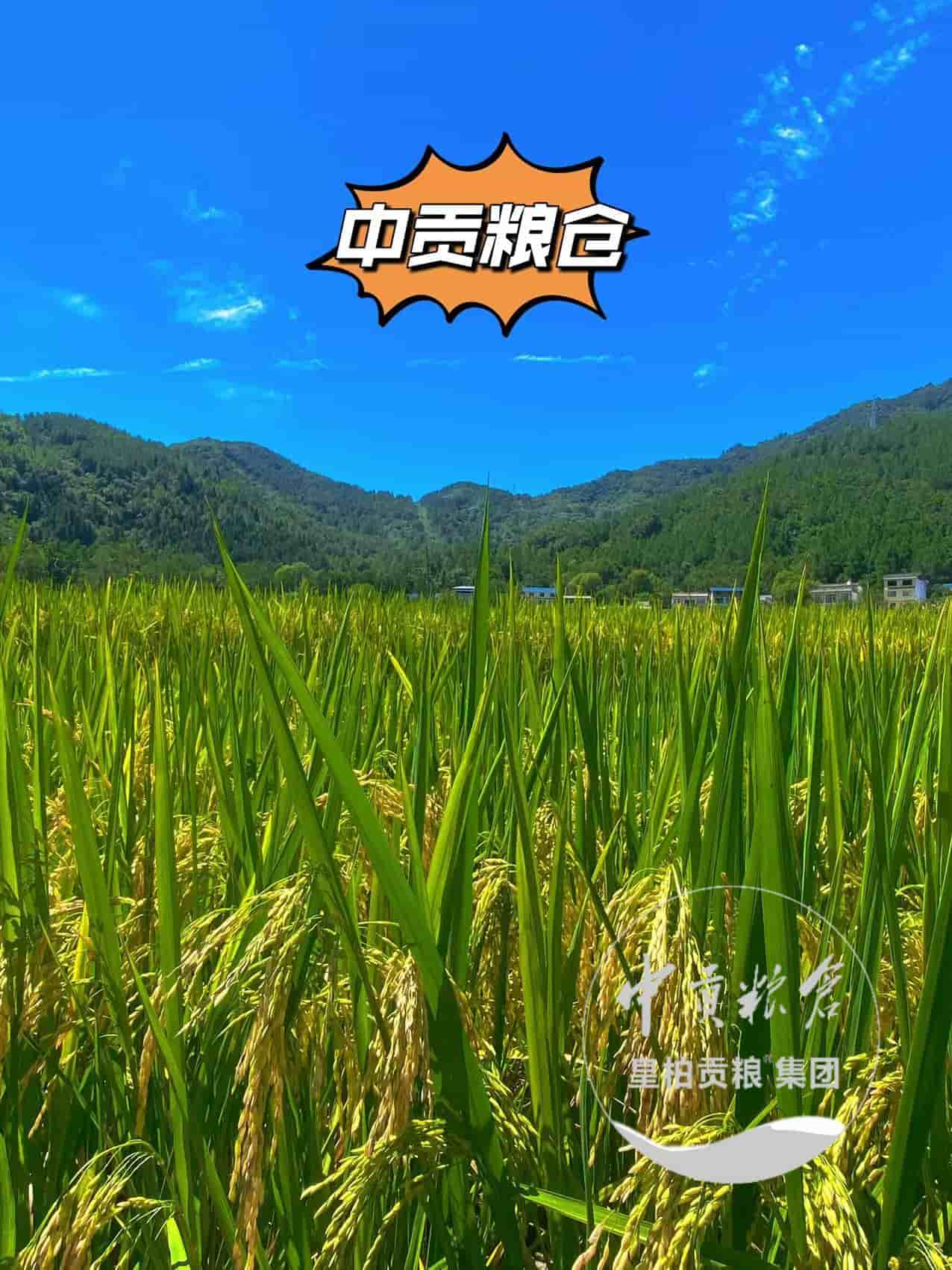 微信图片_20250903175213_544_9.jpg