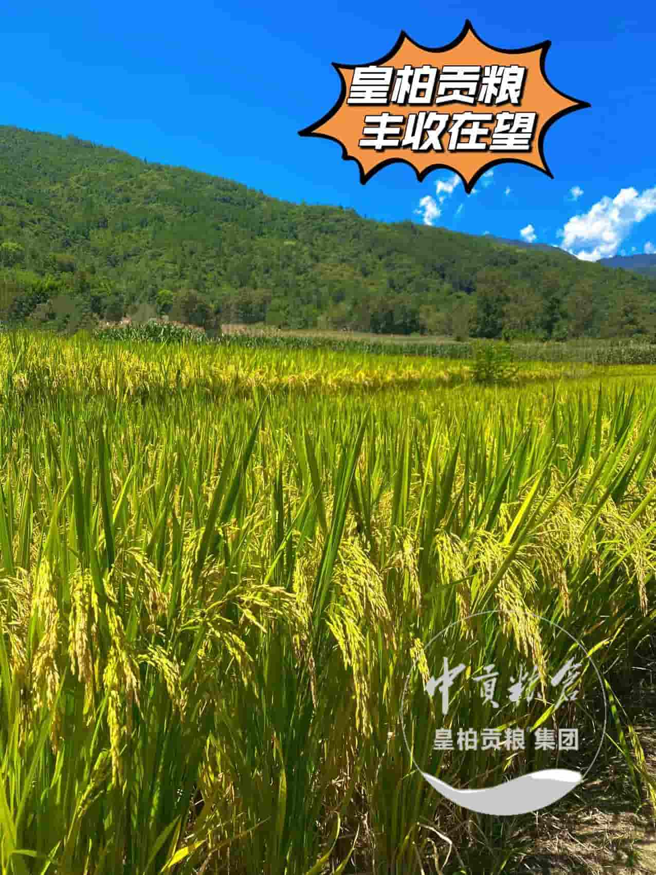 微信图片_20250903175210_542_9.jpg