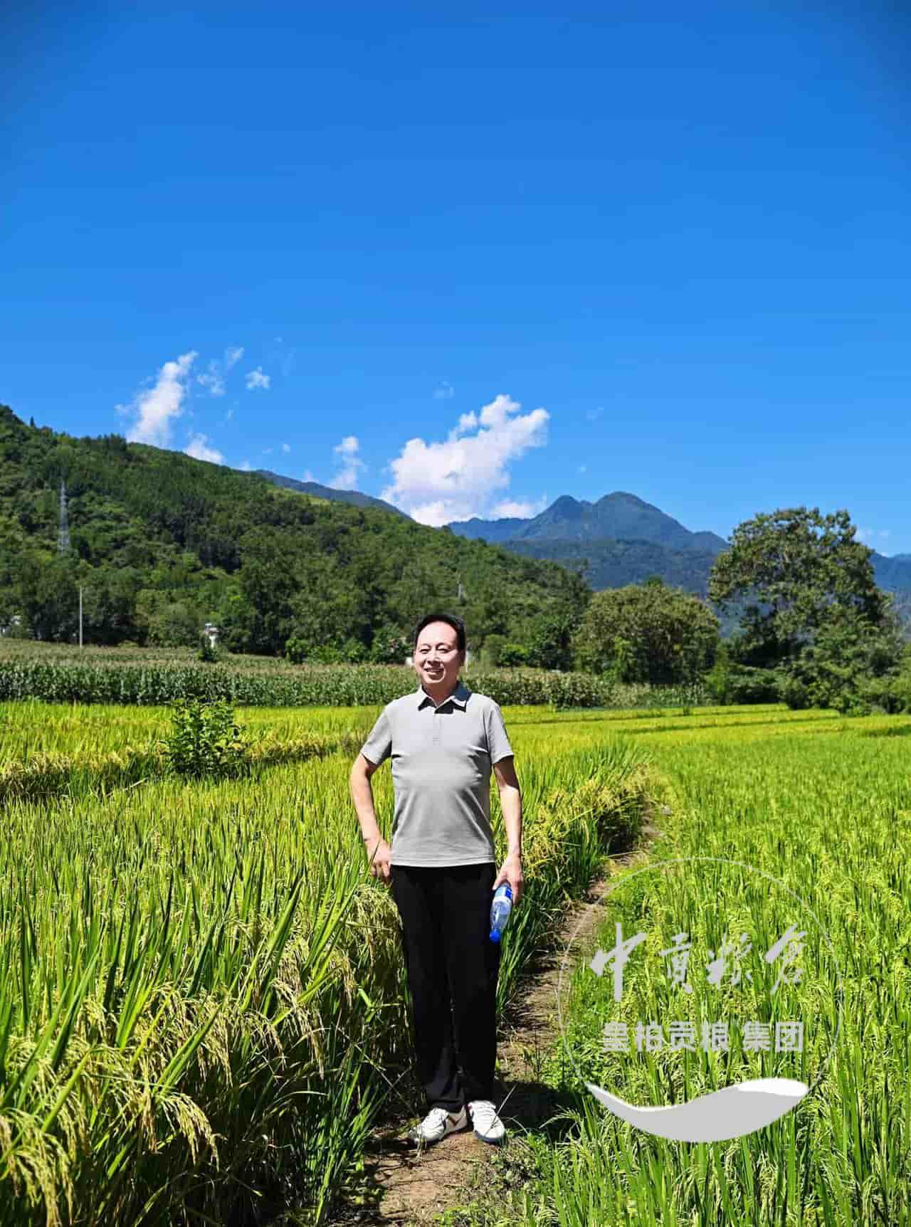 微信图片_20250903175224_547_9.jpg