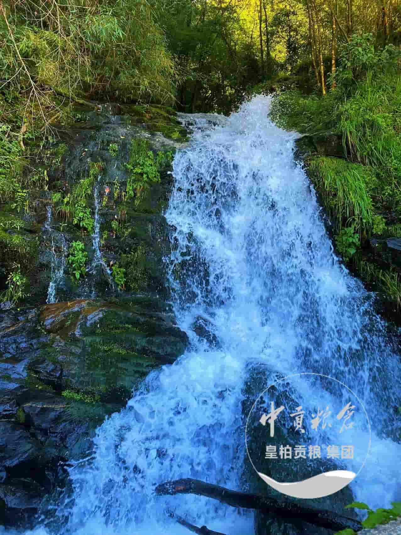 微信图片_20250903175256_548_9.jpg