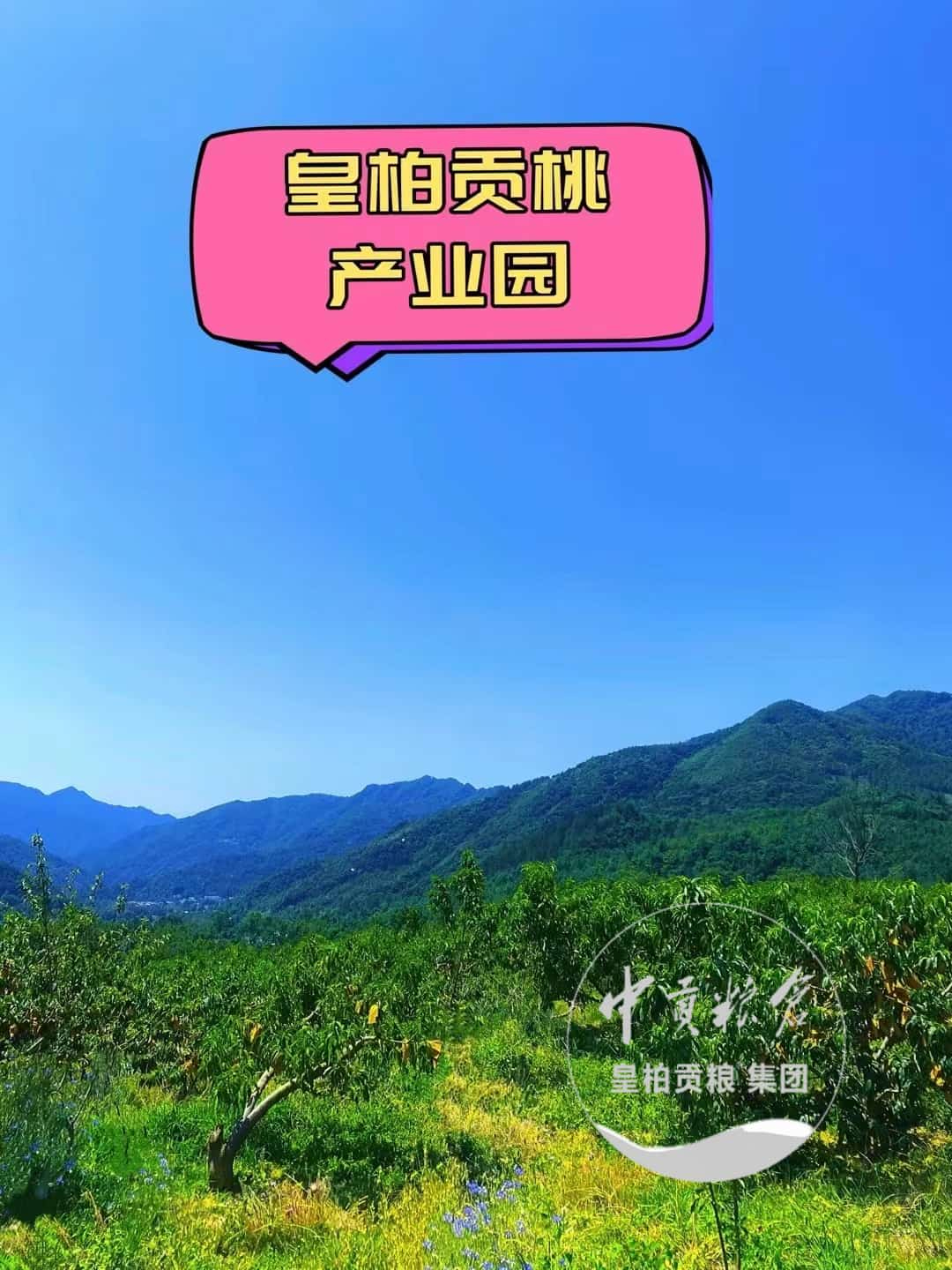 微信图片_20250901223519_531_9.jpg