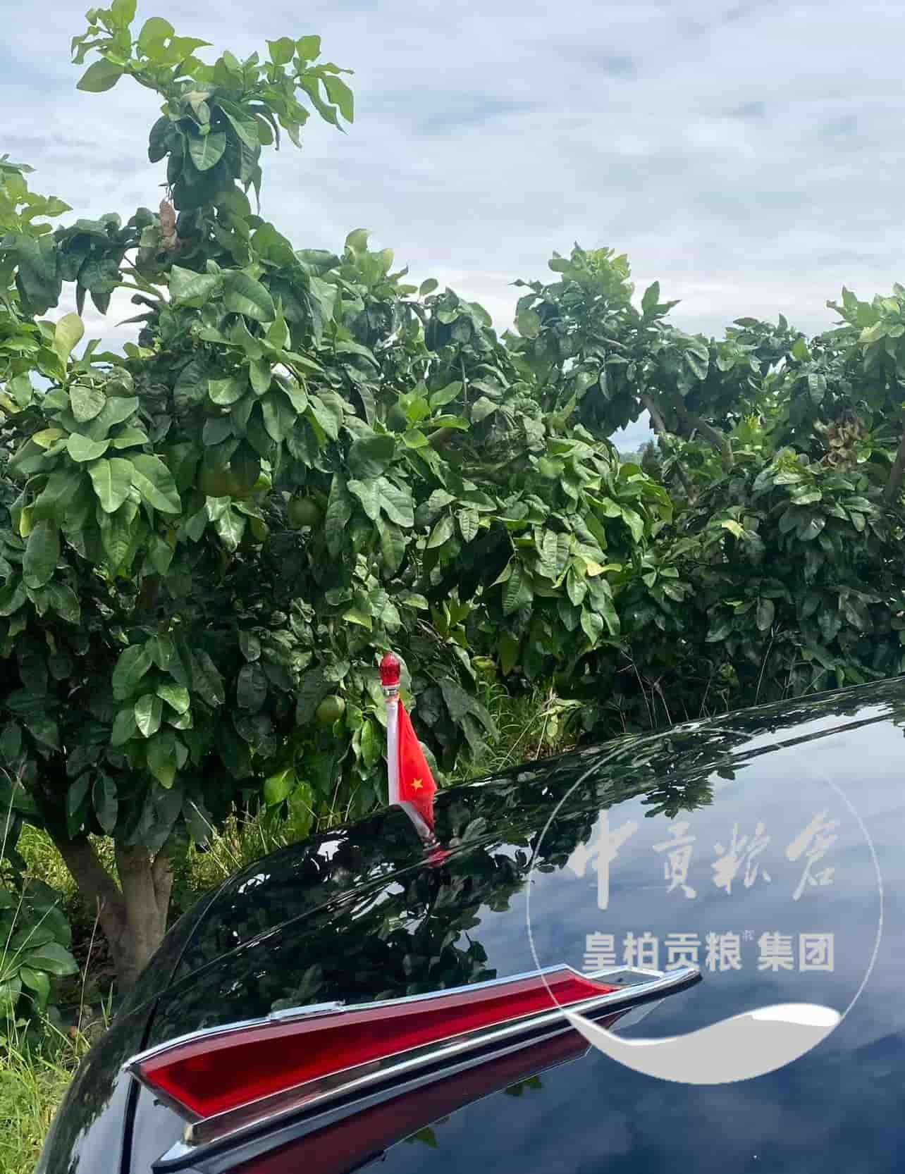 微信图片_20250912191034_607_9.jpg