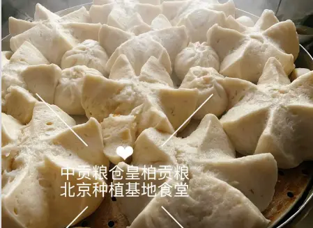 微信图片_20260501140802_2991_9.webp