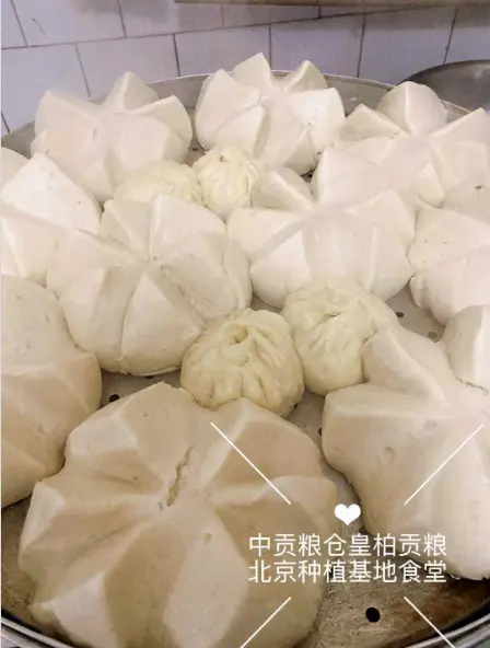 微信图片_20260501140813_2992_9.webp
