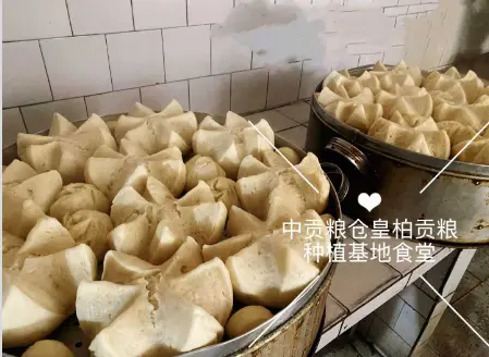 微信图片_20260501140825_2993_9.webp