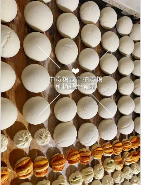 微信图片_20260501140834_2994_9.webp