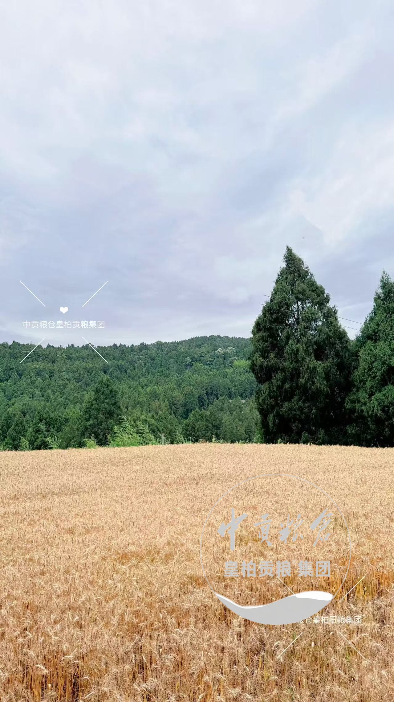 微信图片_20260711165130_150_2.jpg