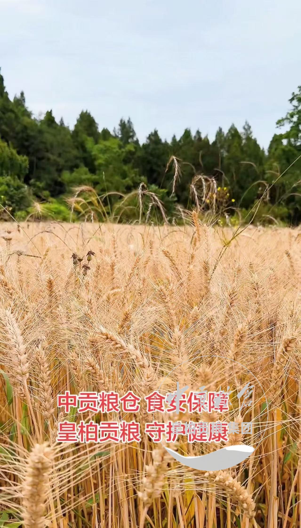 微信图片_20260711165135_151_2.jpg