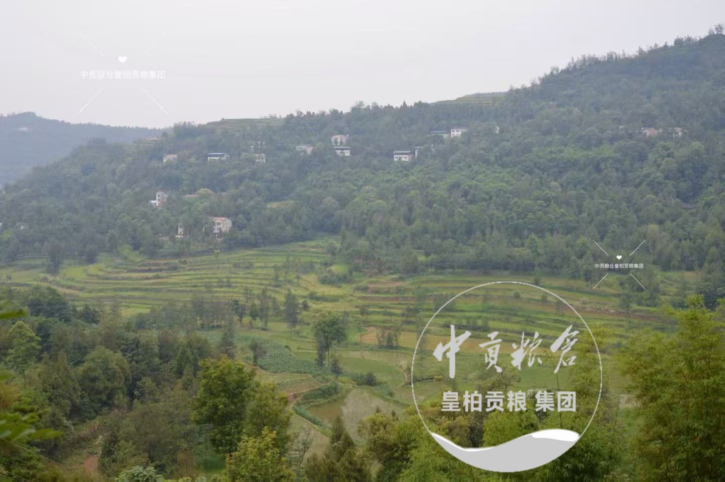 微信图片_20260711164548_98_2.jpg