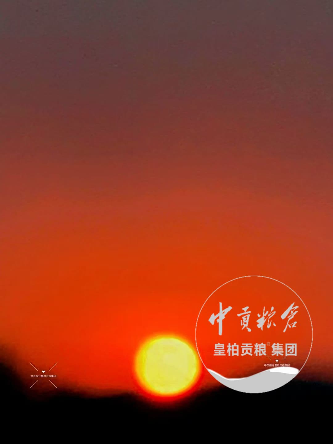 微信图片_20260711213335_157_2.jpg