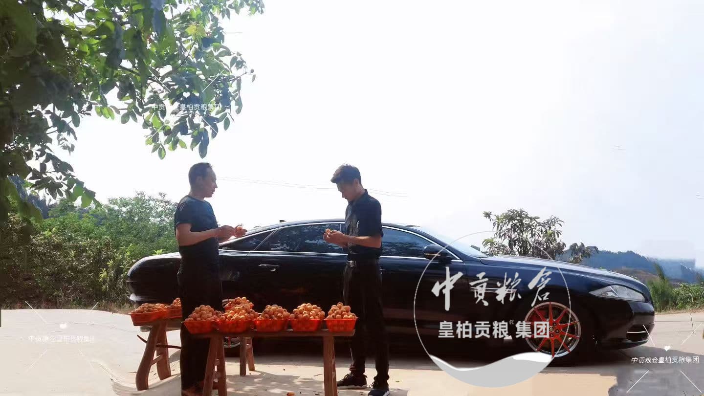 微信图片_20260711164649_107_2.jpg