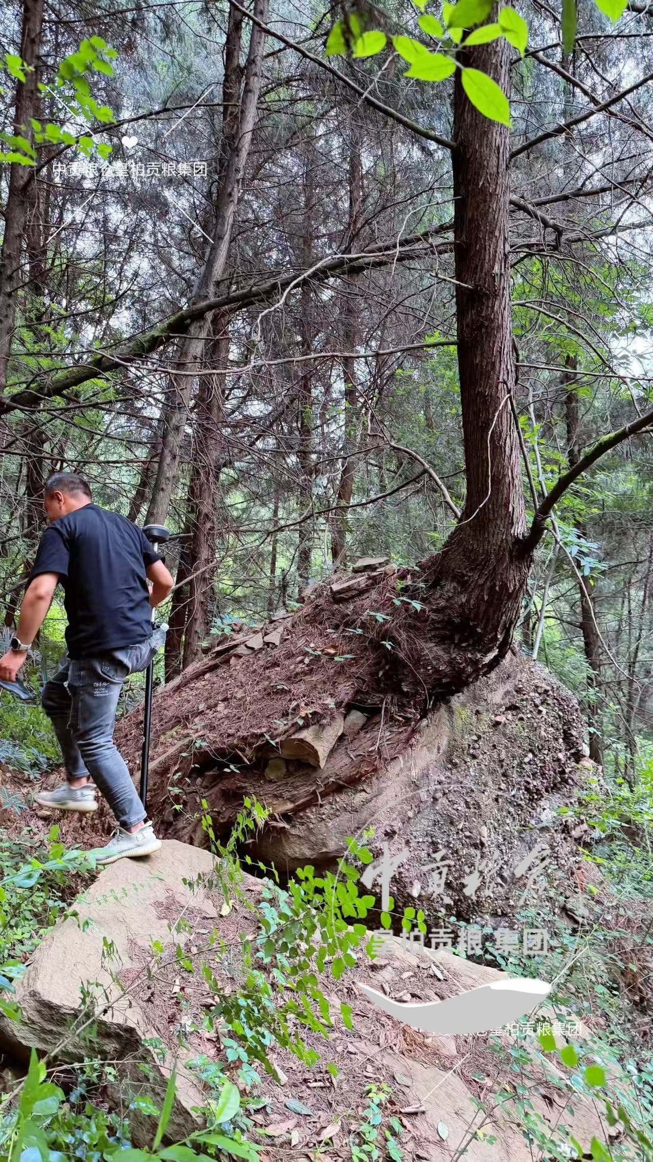 微信图片_20260711164835_123_2.jpg