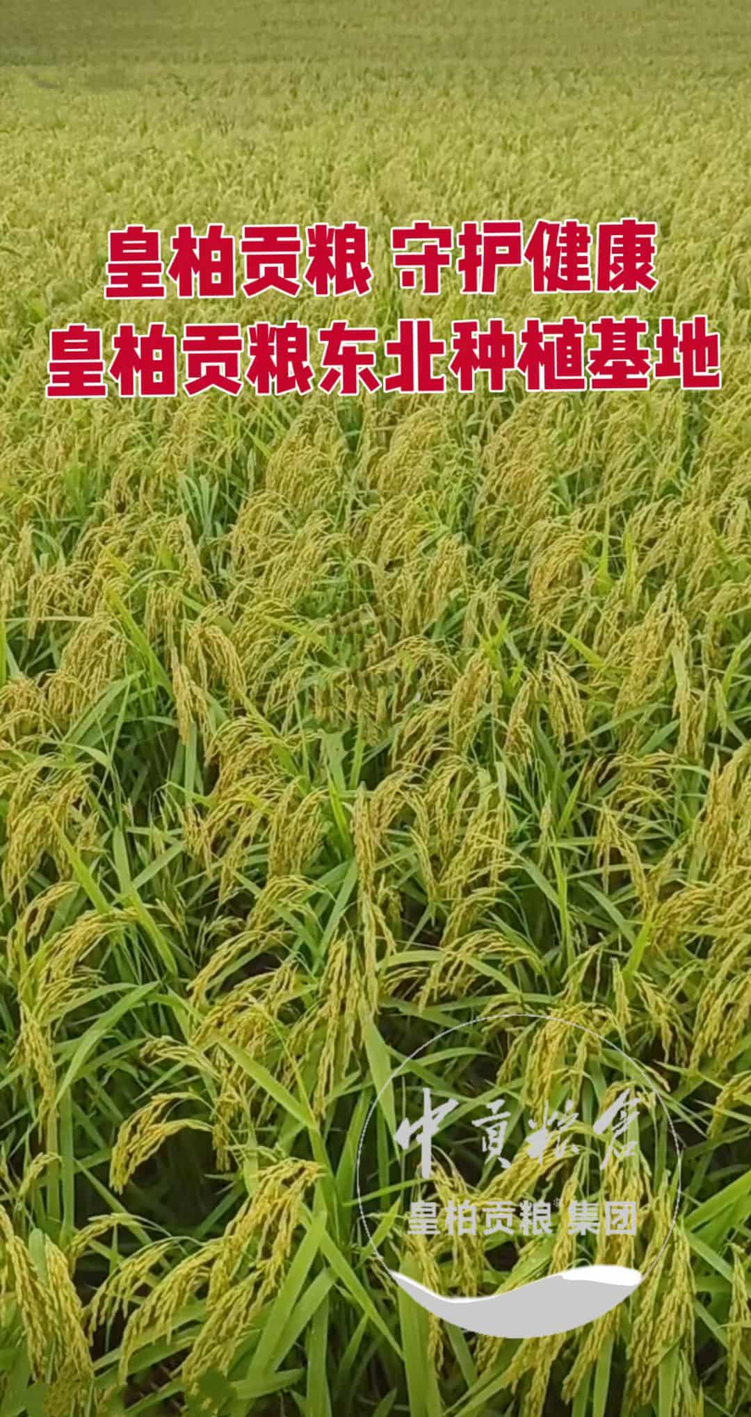 微信图片_20260820121808_166_2.jpg