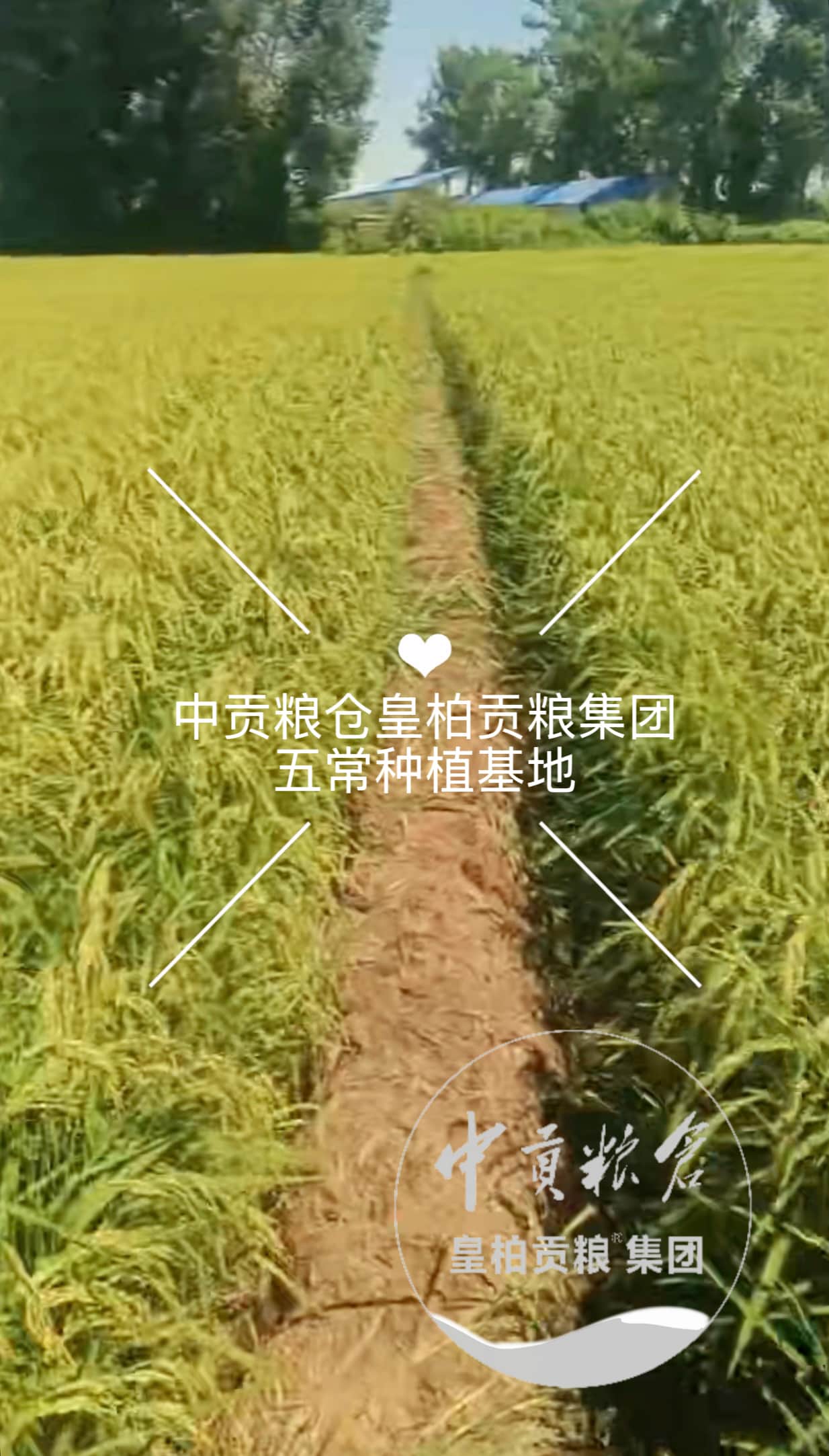 微信图片_20260820121804_161_2.jpg