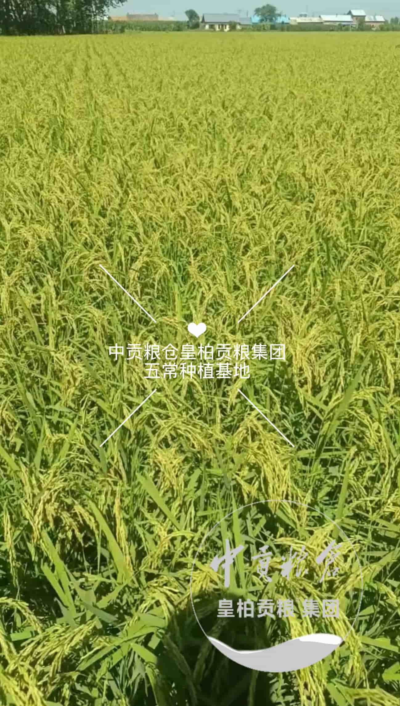 微信图片_20260820121805_163_2.jpg