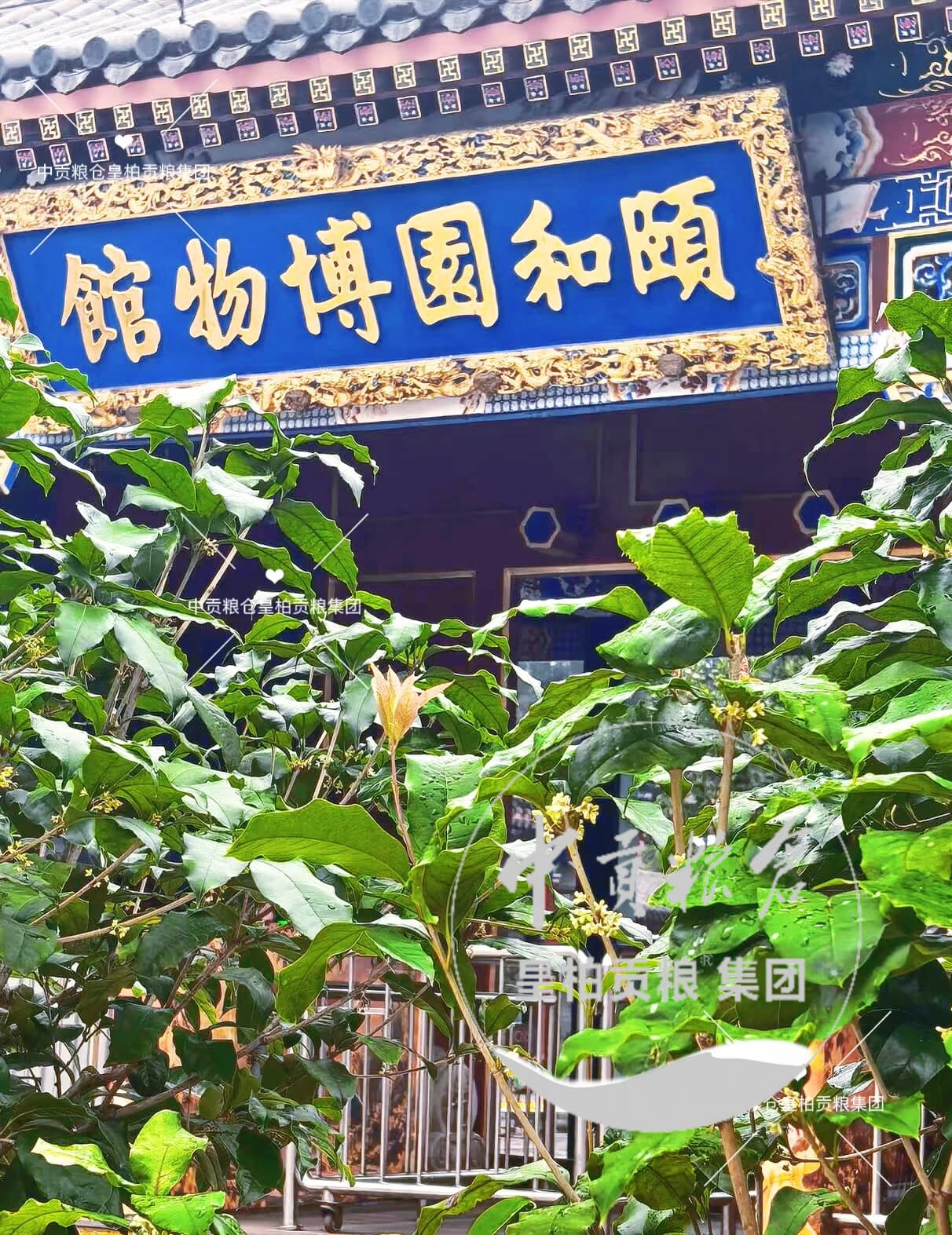 微信图片_20260925223631_1281_2.jpg