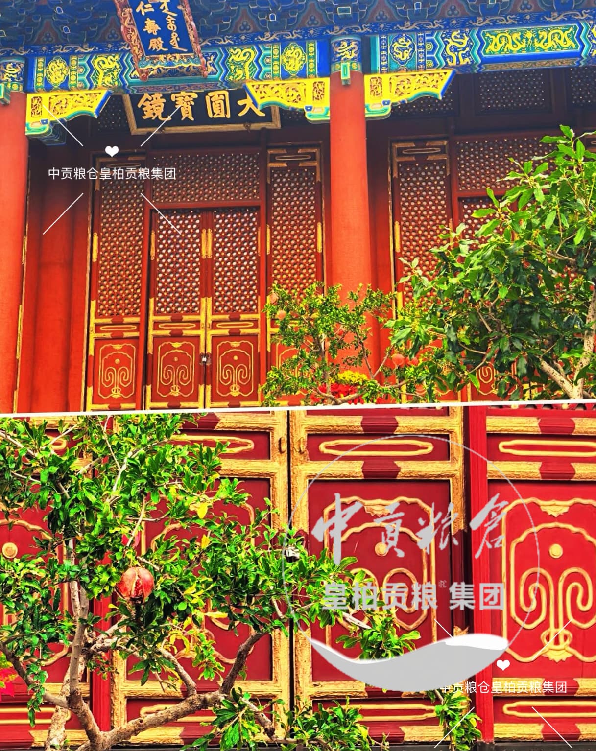 微信图片_20260925223630_1280_2.jpg