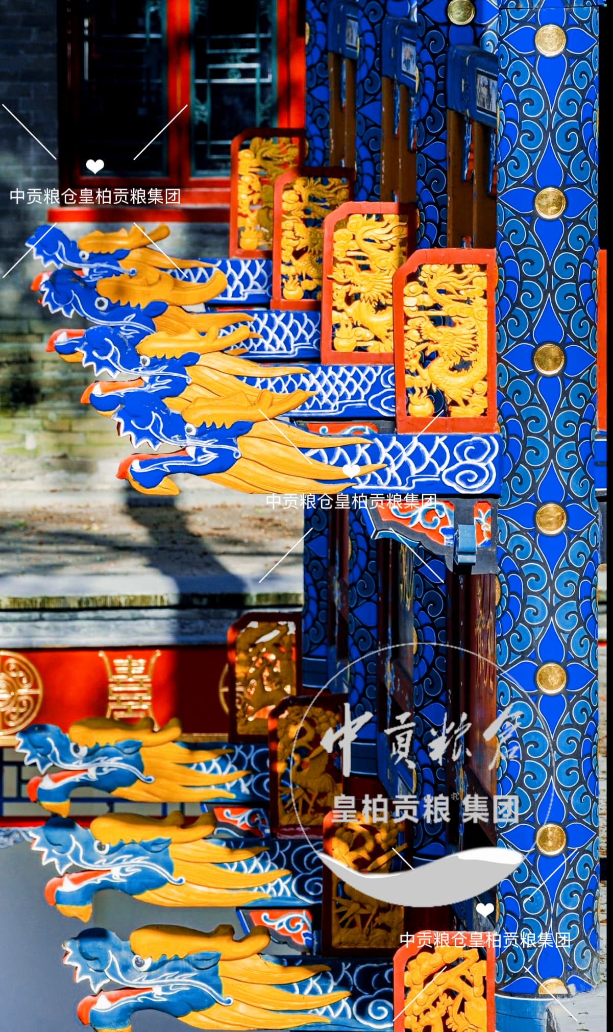 微信图片_20260925223629_1279_2.jpg